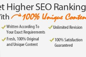 Portfolio for SEO Friendly Article 400-500 Words